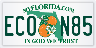 FL license plate ECON85