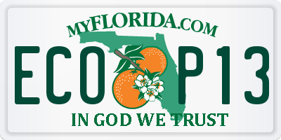 FL license plate ECOP13