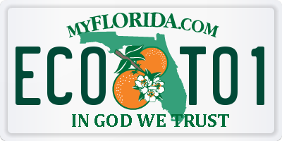 FL license plate ECOT01