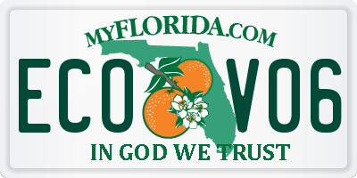 FL license plate ECOV06