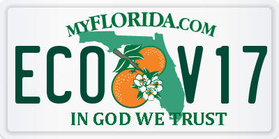 FL license plate ECOV17