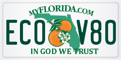 FL license plate ECOV80