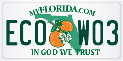 FL license plate ECOW03