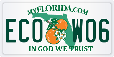 FL license plate ECOW06