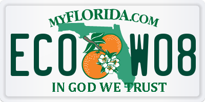 FL license plate ECOW08
