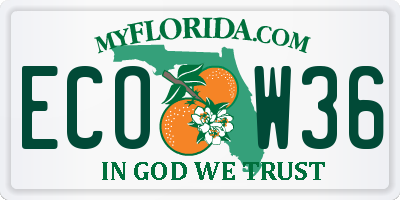 FL license plate ECOW36