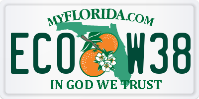 FL license plate ECOW38