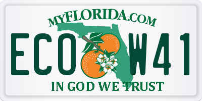 FL license plate ECOW41