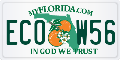 FL license plate ECOW56