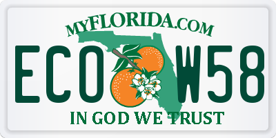 FL license plate ECOW58