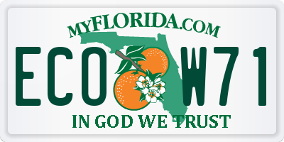 FL license plate ECOW71