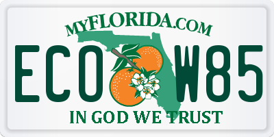 FL license plate ECOW85