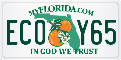 FL license plate ECOY65