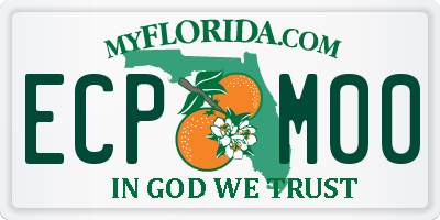 FL license plate ECPM00