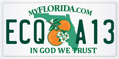 FL license plate ECQA13