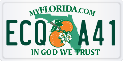 FL license plate ECQA41