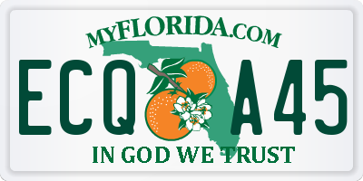 FL license plate ECQA45