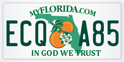FL license plate ECQA85