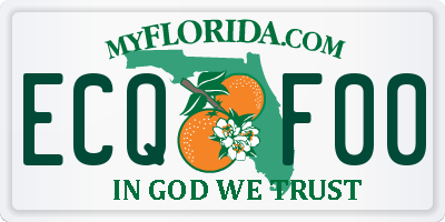 FL license plate ECQF00