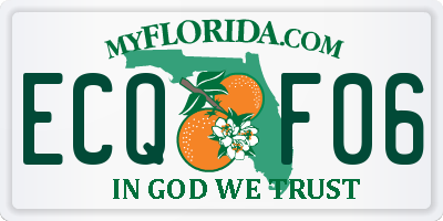 FL license plate ECQF06