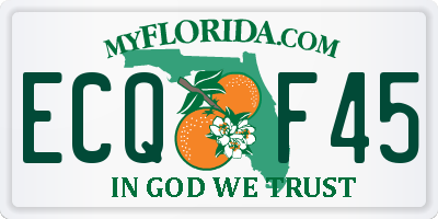FL license plate ECQF45
