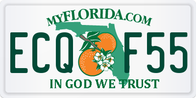 FL license plate ECQF55