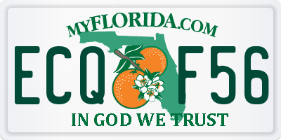 FL license plate ECQF56