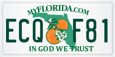 FL license plate ECQF81