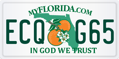 FL license plate ECQG65