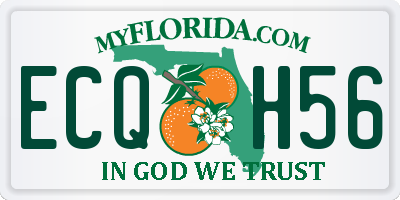 FL license plate ECQH56