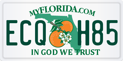 FL license plate ECQH85