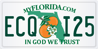 FL license plate ECQI25