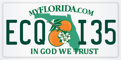 FL license plate ECQI35
