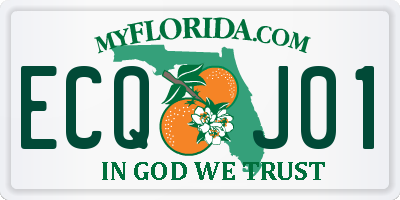 FL license plate ECQJ01