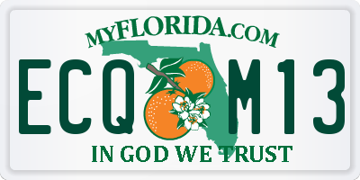 FL license plate ECQM13