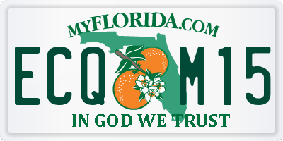 FL license plate ECQM15