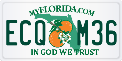 FL license plate ECQM36
