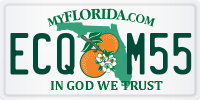 FL license plate ECQM55