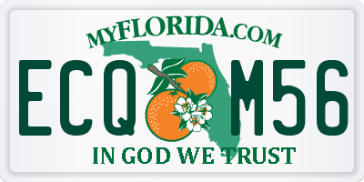 FL license plate ECQM56