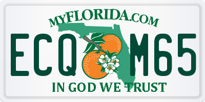 FL license plate ECQM65