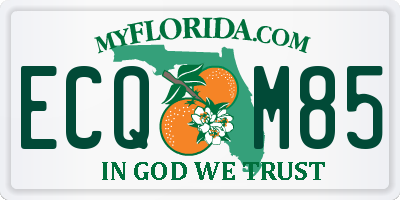 FL license plate ECQM85