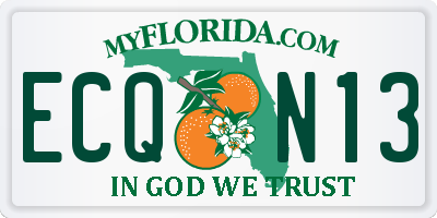 FL license plate ECQN13