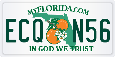 FL license plate ECQN56
