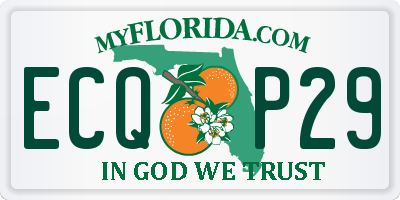 FL license plate ECQP29