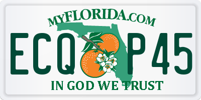 FL license plate ECQP45