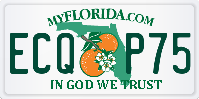 FL license plate ECQP75