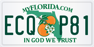 FL license plate ECQP81