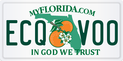 FL license plate ECQV00