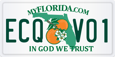 FL license plate ECQV01