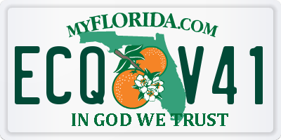 FL license plate ECQV41
